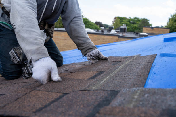Best Roof Waterproofing Services  in Baxter, MN